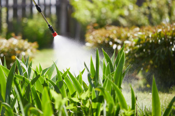 Tamper-Resistant Bait Stations for Rodents in Oneida
