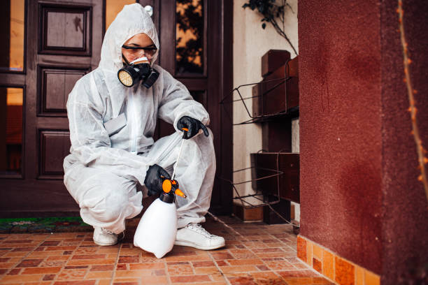 Attic and Crawl Space Rodent Treatment in Oneida