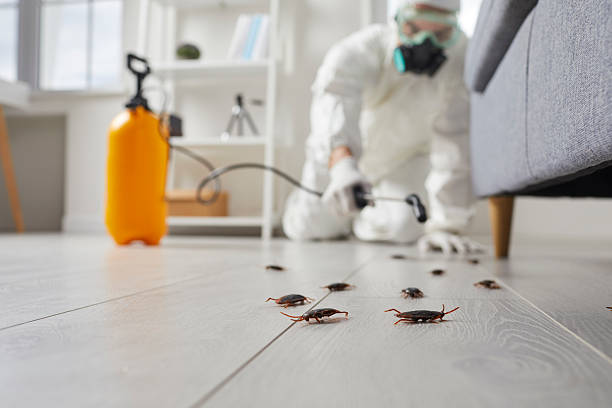 Commercial Rodent Management in Oneida